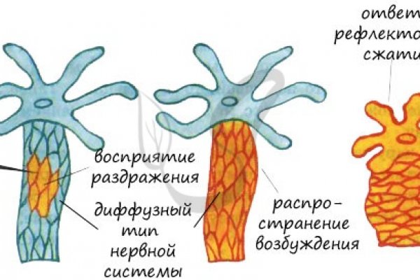 Что с кракеном сегодня сайт