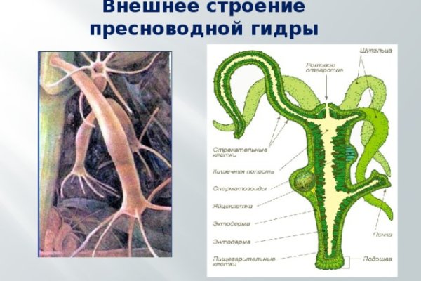 Как найти ссылку на кракен