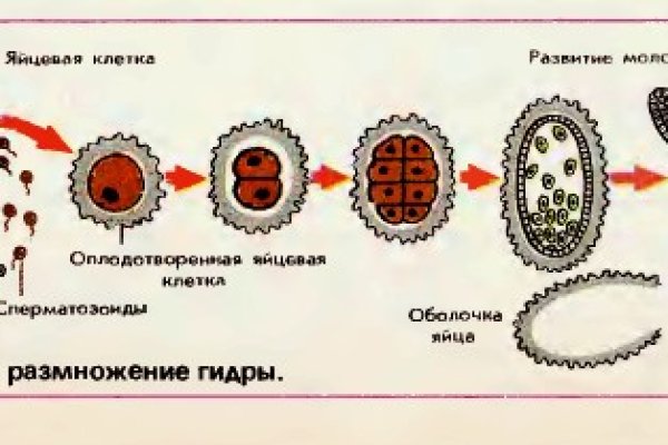 Как найти официальный сайт кракен