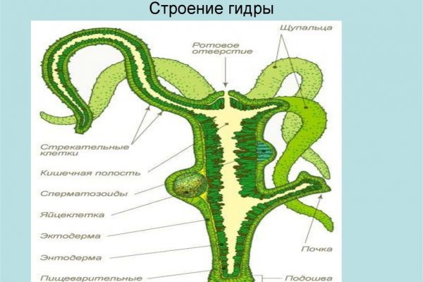 Kraken наркотики сайт